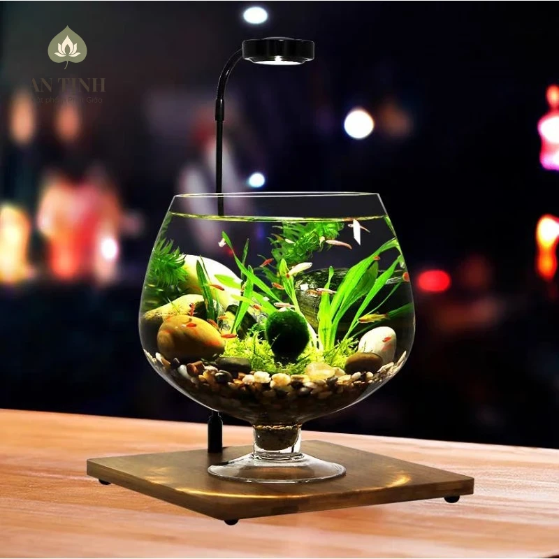 Bể cá cảnh với số lượng cá hợp mệnh Kim