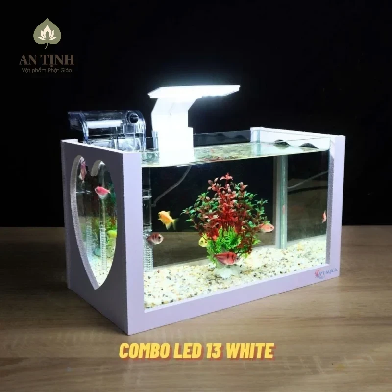 Bể cá mini để bàn