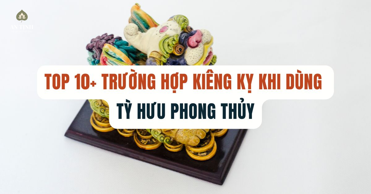trường hợp kiêng kỵ khi dùng tỳ hưu phong thủy